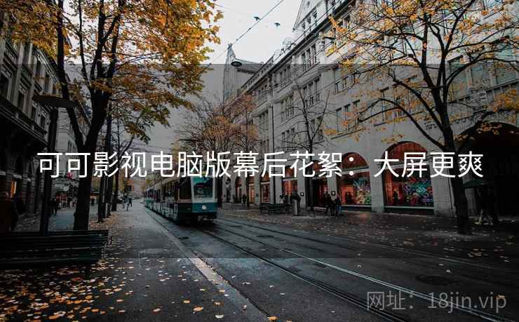 可可影视电脑版幕后花絮：大屏更爽
