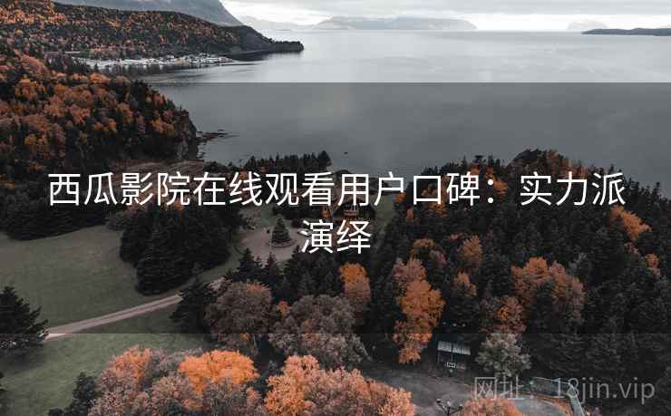 西瓜影院在线观看用户口碑：实力派演绎