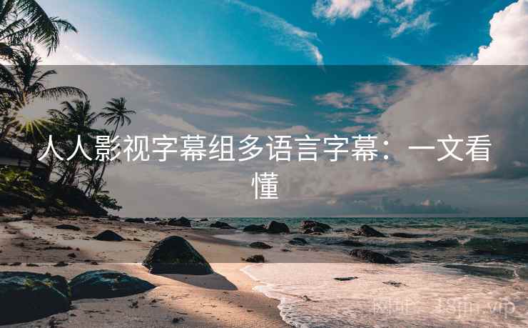 人人影视字幕组多语言字幕：一文看懂