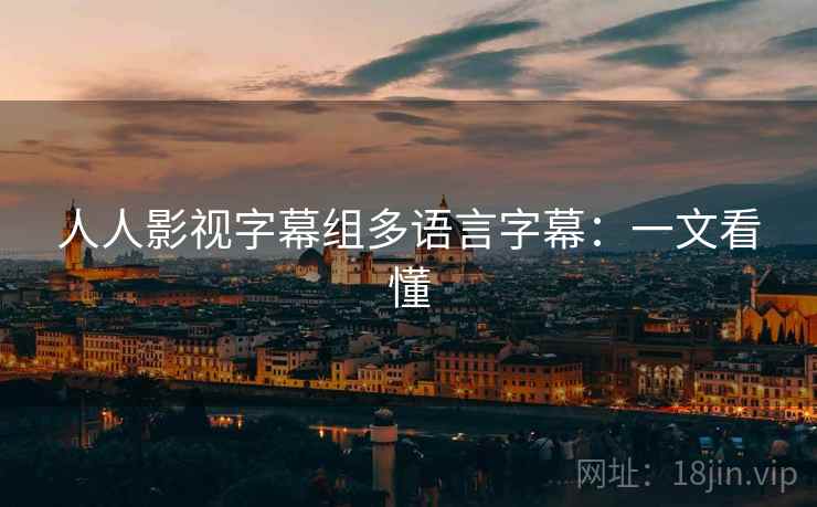 人人影视字幕组多语言字幕：一文看懂