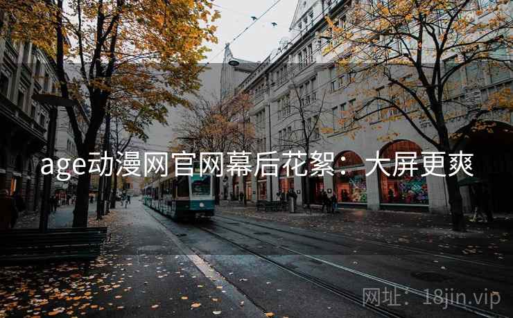 age动漫网官网幕后花絮：大屏更爽
